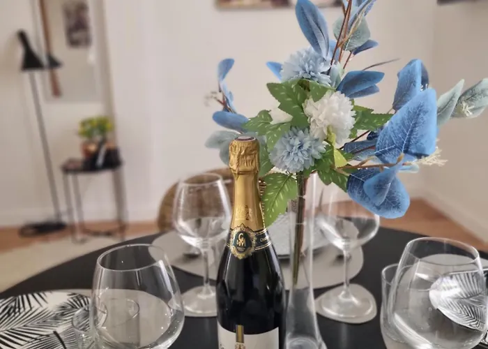 Centre Cosy And Spacious 公寓 *